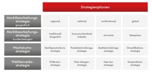 Schaubild der Strategieoptionen | Werbeagentur MARTES NEW MEDIA